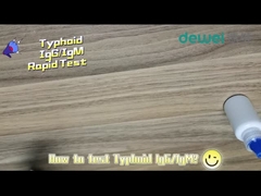 15 دقيقة مجموعة اختبار التيفود السريع البراز مصل البلازما عينة السالمونيلا التيفية اختبار مستضد